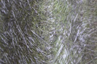 Low Crompton fibreglass roof work